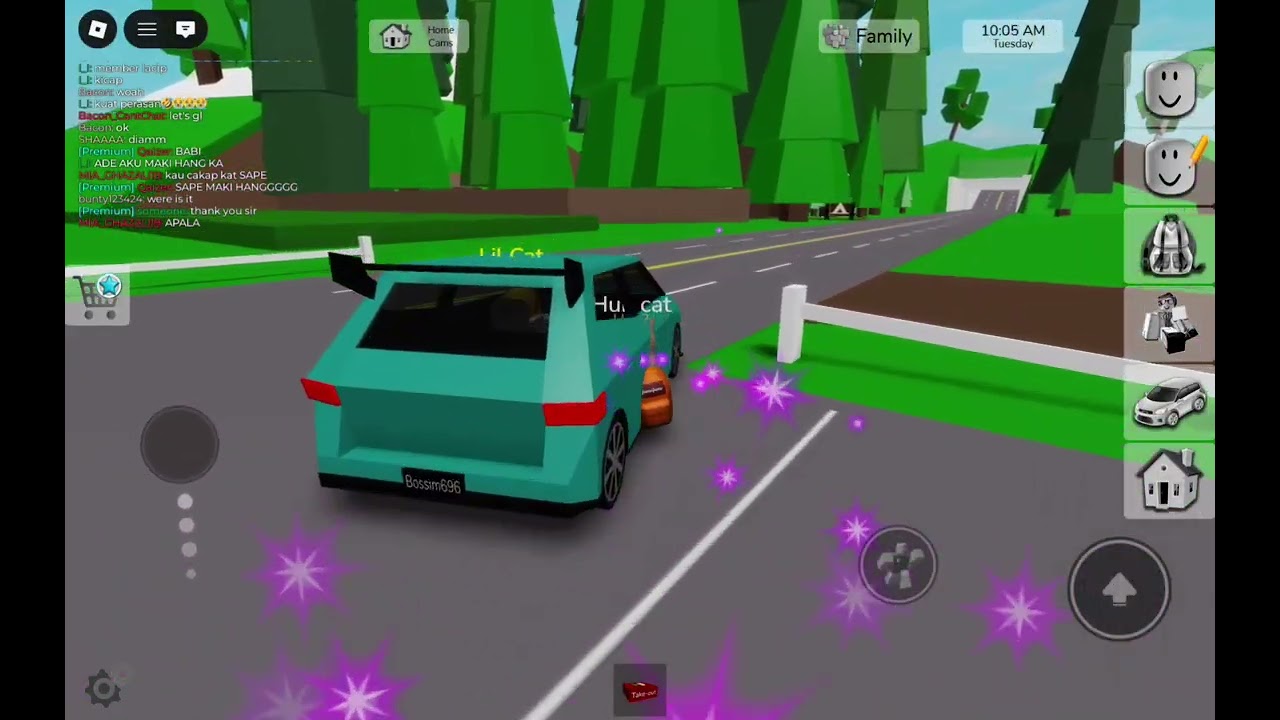 Roblox Brother cat and little brother cat ADVENTURE By me (ENJOY THE VIDEO)