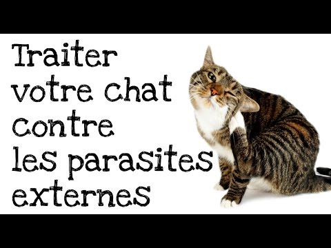 Vidéo: Paralysie Des Tiques Chez Les Chats