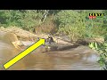 Man teaches his Friends how to Cross this River with Heavy Current in Ruiru Kenya
