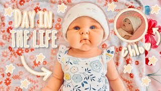 Day In The Life|2under2|Role~Play|Reborns World