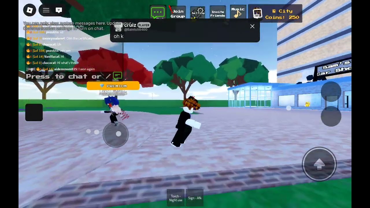 playing a roblox game that has chat