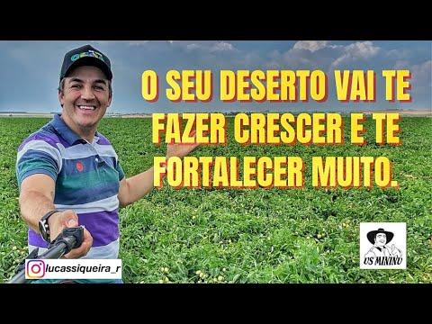 O seu Deserto vai te fazer crescer e te fortalecer muito