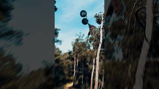 Creepy Forest Siren Head