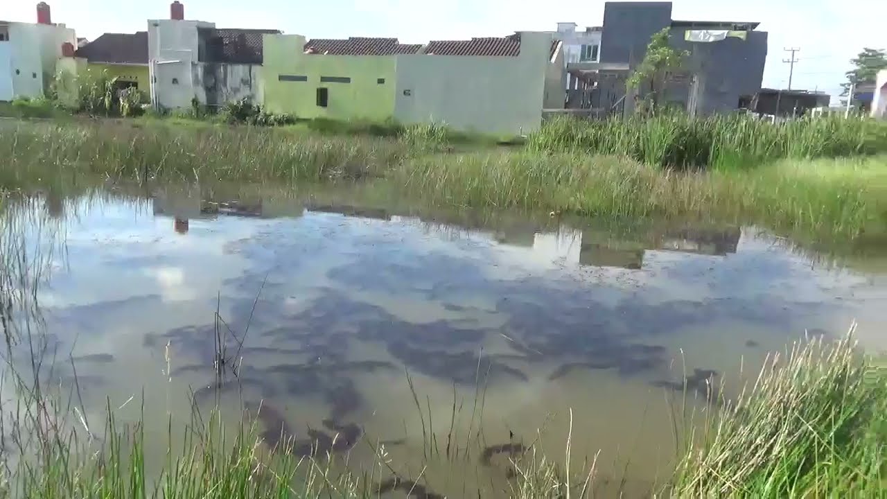 ❗spot mancing pinggir jalan tegal binangun palembang casting gabus haruan❗munkin kedepan suda hilang