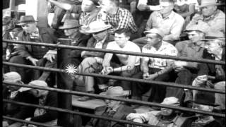 The cattle sale barn Morrell meat plant and John Deere equipment plant in Ottum Stock Footage