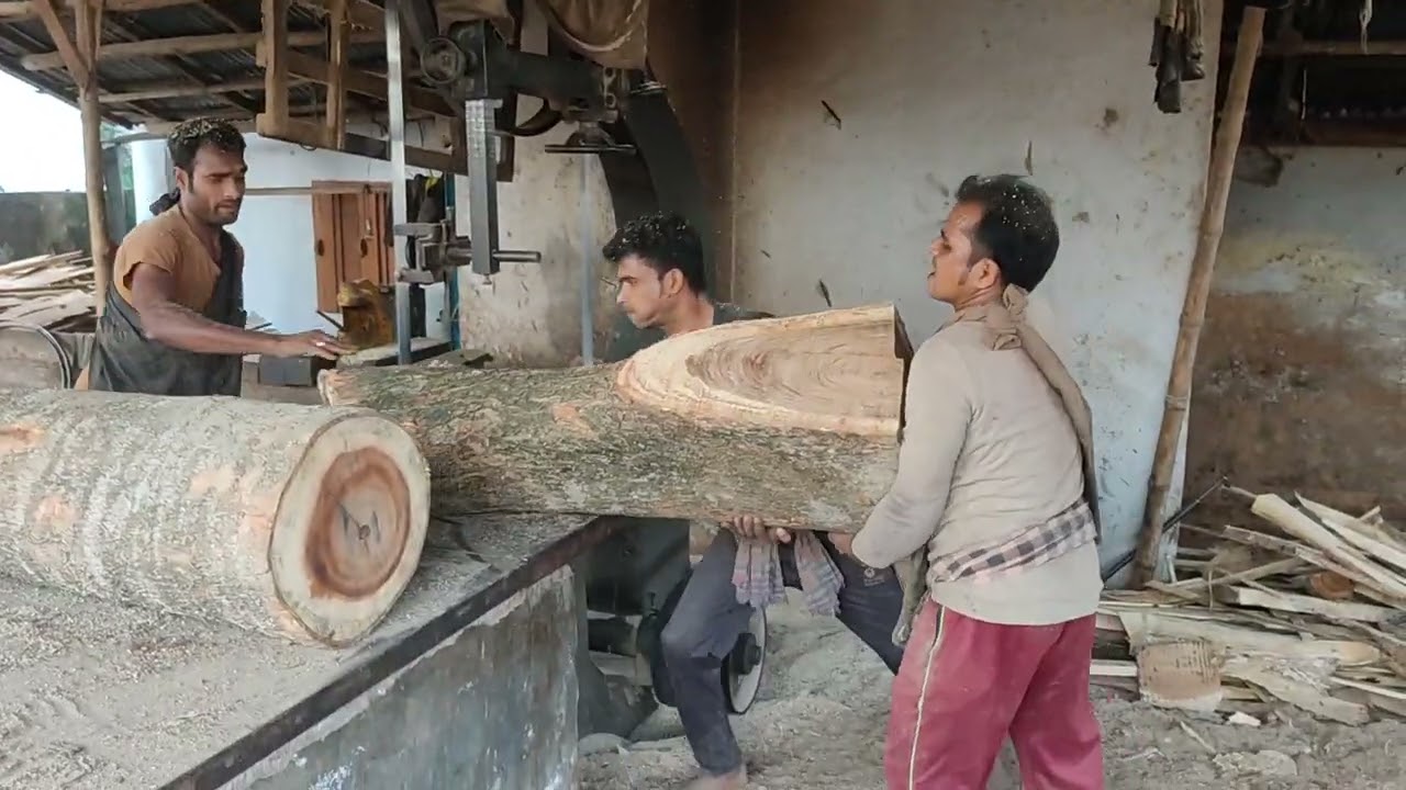 Team Work 5 || Wood Cutting Skills