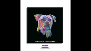 Umzimba-Ice Beat Slides ft. Sbuda Maleather Visualizer