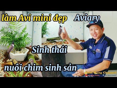 Video Làm Avi nuôi chim sinh sản trong phòng khách , sinh... - youtube