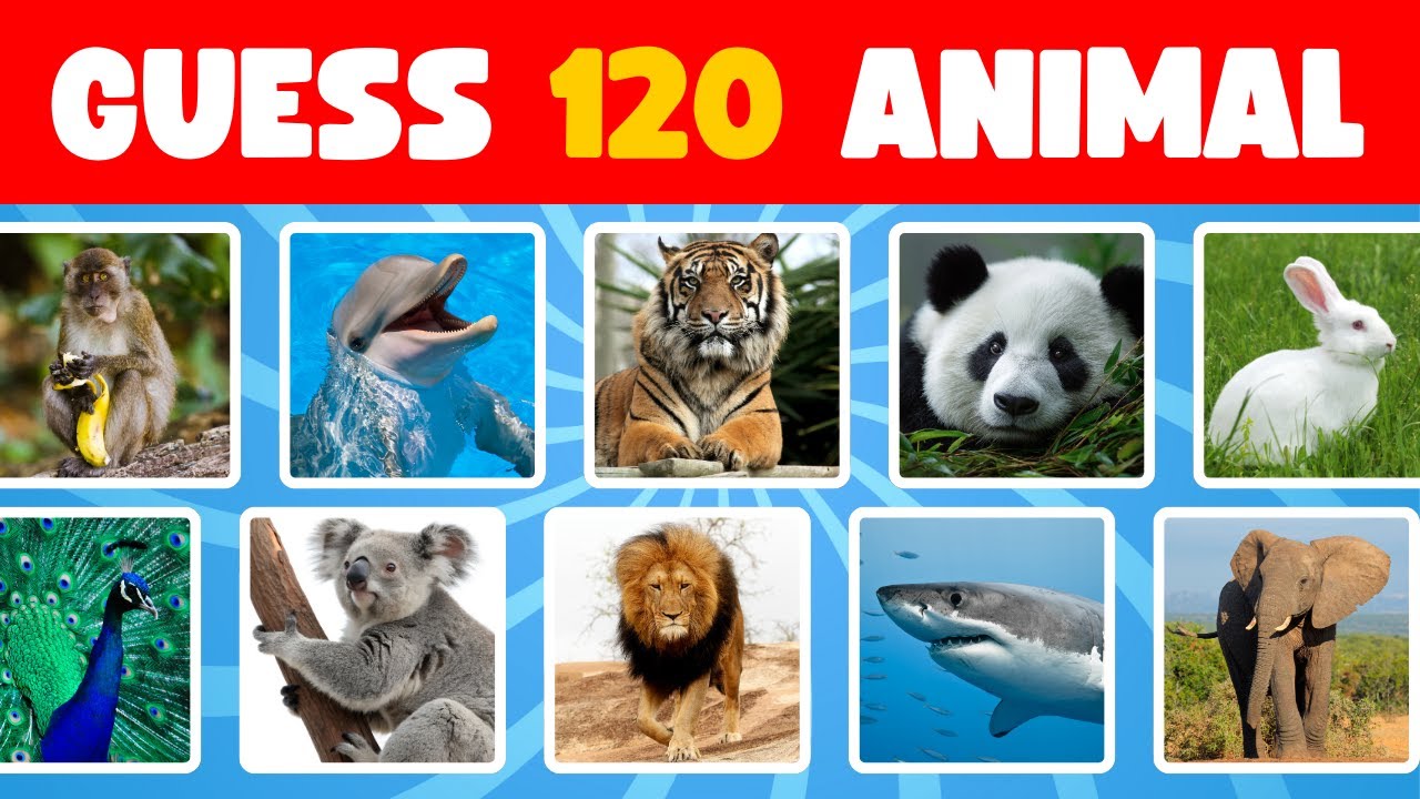 Guess 120 Animals in 3 Seconds | Easy to Impossible | Quiz 2026