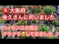 【大阪府　金久さんに伺いました】お花、植物が盛りだくさん✨見どころ満載の園芸店。お店の前でブルーインパルスを、みんなで見ました‼️