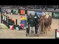 Top-class drivers compete against each other with teams of draft horses