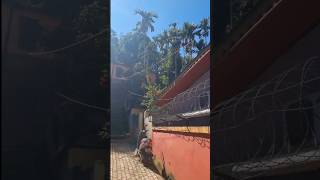 Bank Gift Unboxing Shorts Reward Point Gift