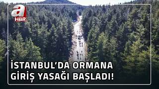 İstanbul'da 8 Haziran - 15 Ekim arası orman yasağı başladı!  | A Haber
