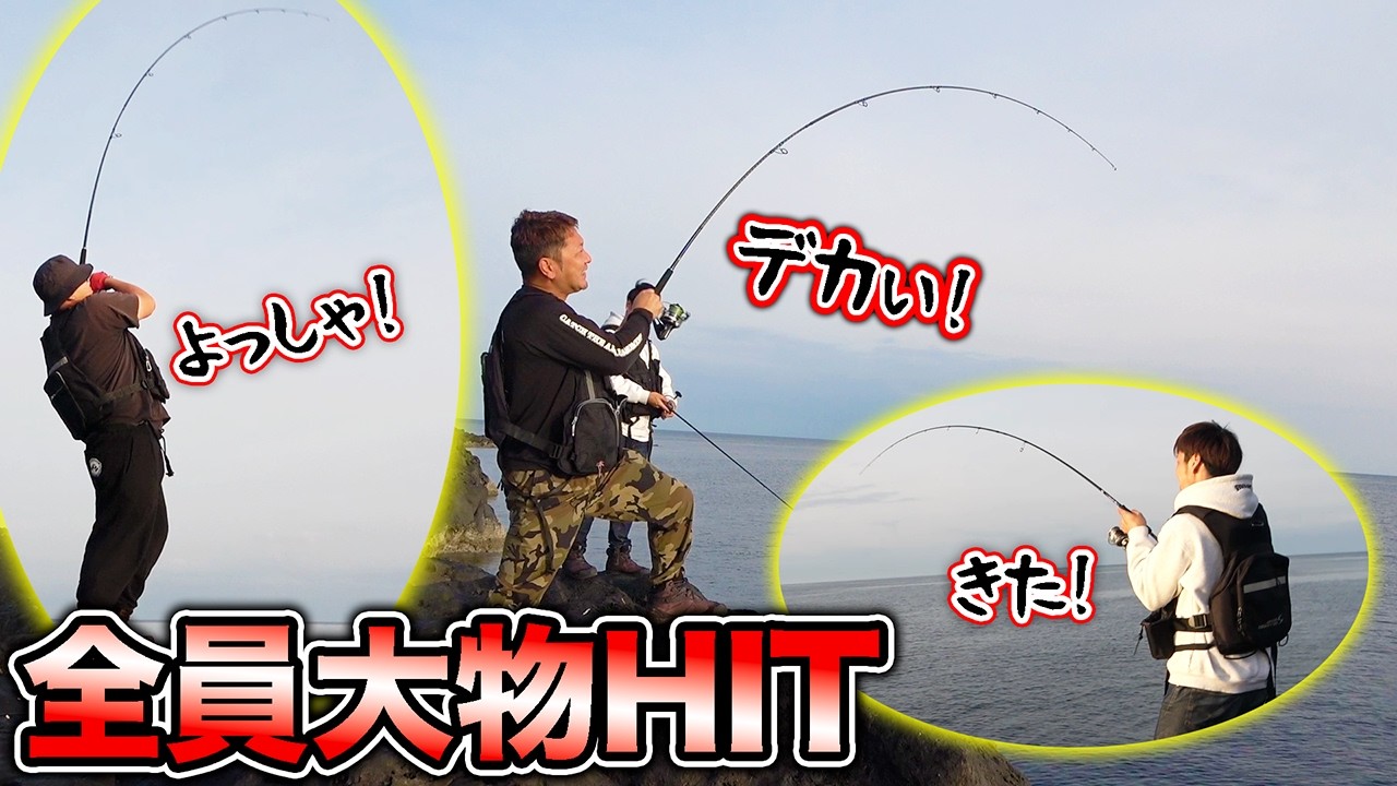 ①/2週刊　日本の魚釣り　まとめ売り　大量　アシェット Super-premium fish caught in huge numbers at dawn on the rocky