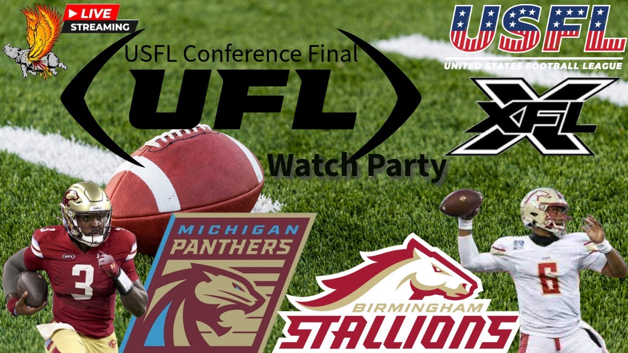 Michigan Panthers vs Birmingham Stallions UFL: USFL CONFERENCE CHAMPIONSHIP