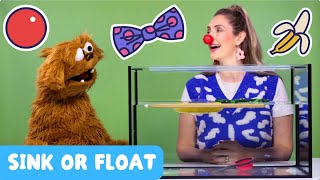 Sink or Float?! Fun Science Challenge for Kids | Collab with @MoeAndFriendsOfficial