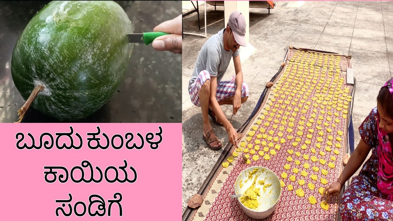Kumbalakayi Sandige |2022| ಬಾಯಿ ಚಪ್ಪರಿಸಿ ತಿನ್ನೋ ಸಂಡಿಗೆ  ಒಮ್ಮೆ ನೋಡಿ #fryums #ashgaurdchips #healthy