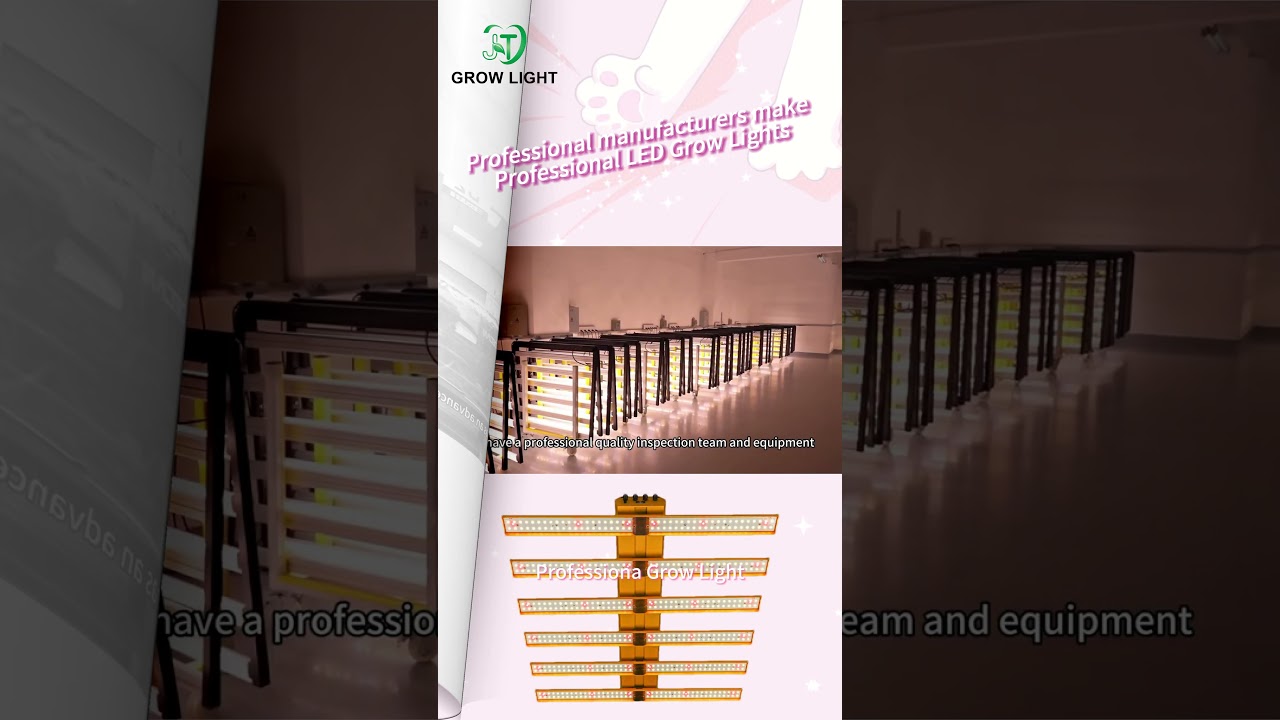 Professional manufacturers make Professional LED Grow Lights 