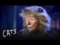 Gus the Theatre Cat Part 2 | Cats the Musical