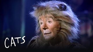 Gus the Theatre Cat Part 2 | Cats the Musical