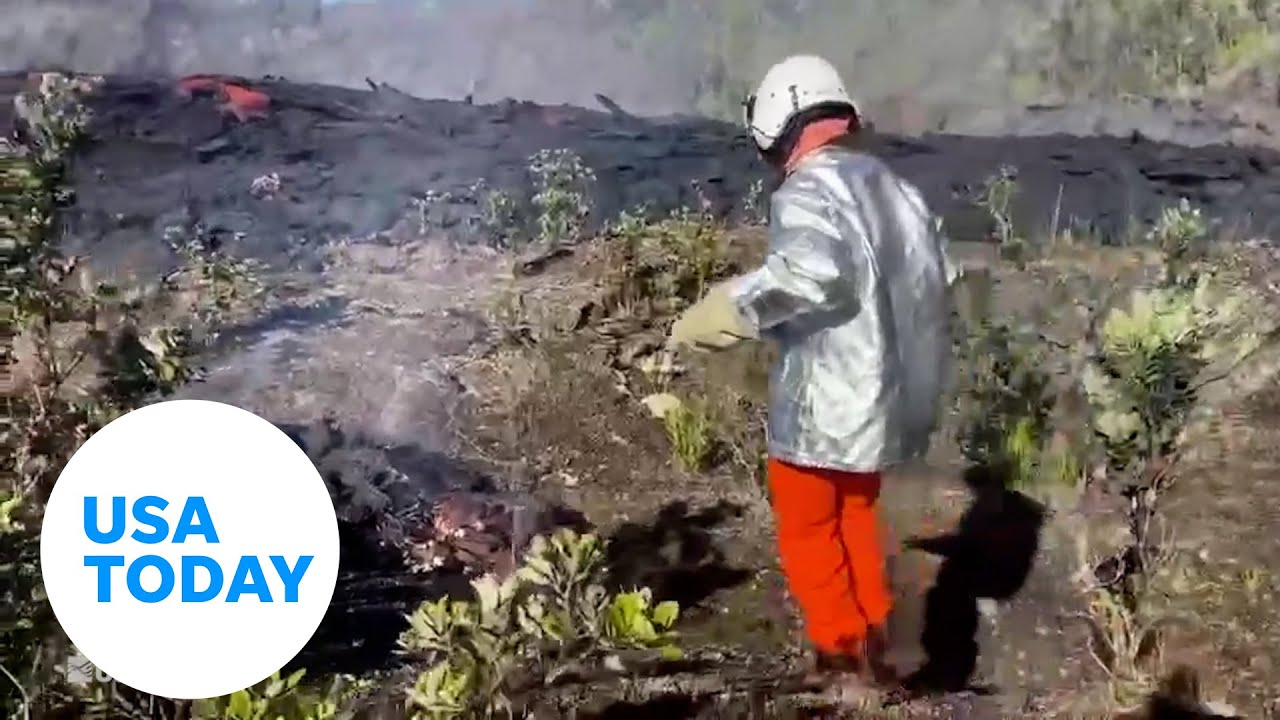 Watch: Scientists collect lava from Hawaiian volcano | USA TODAY