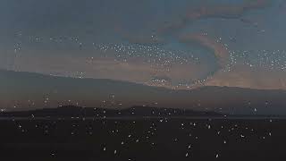 Wigtown Bay At Night