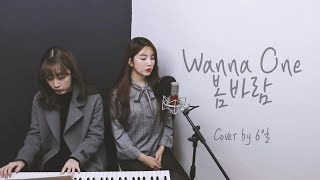 워너원 (wanna one) _ 봄바람 (spring breeze) / COVER BY 6일 chords
