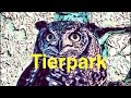Tierpark…
