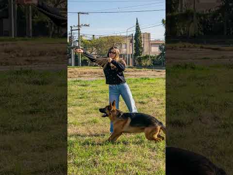 HEMOS VUELTO A LAS FOTOS CON AKITA