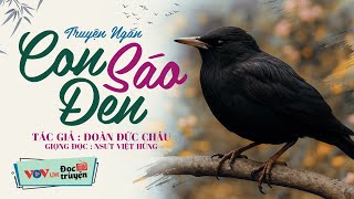 Hay quá, Nhất định phải nghe - Truyện ngắn đêm khuya mới nhất nghe cực êm tai