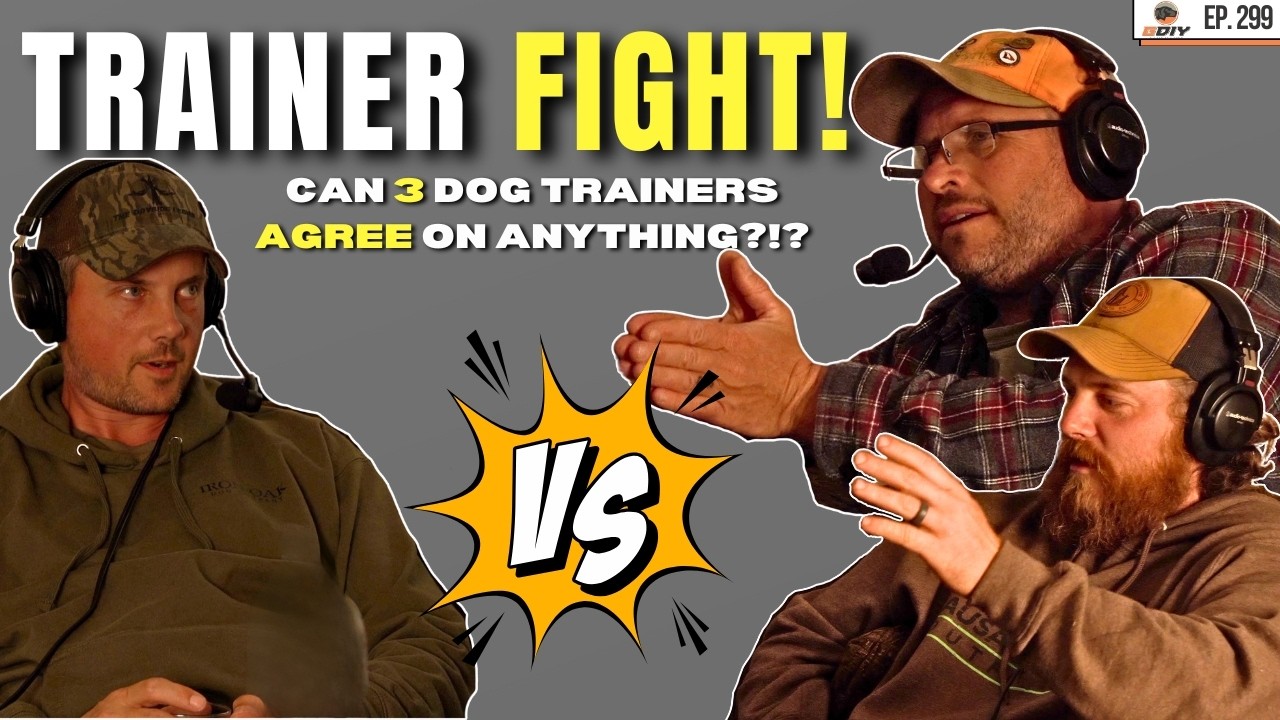 Can 3 Dog Trainers Agree on Anything?!