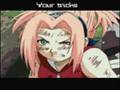 Sakura Wheres a Halo!