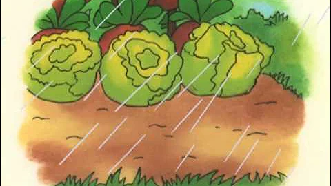 Caillou - Caillou Grows Carrots (S01E40)