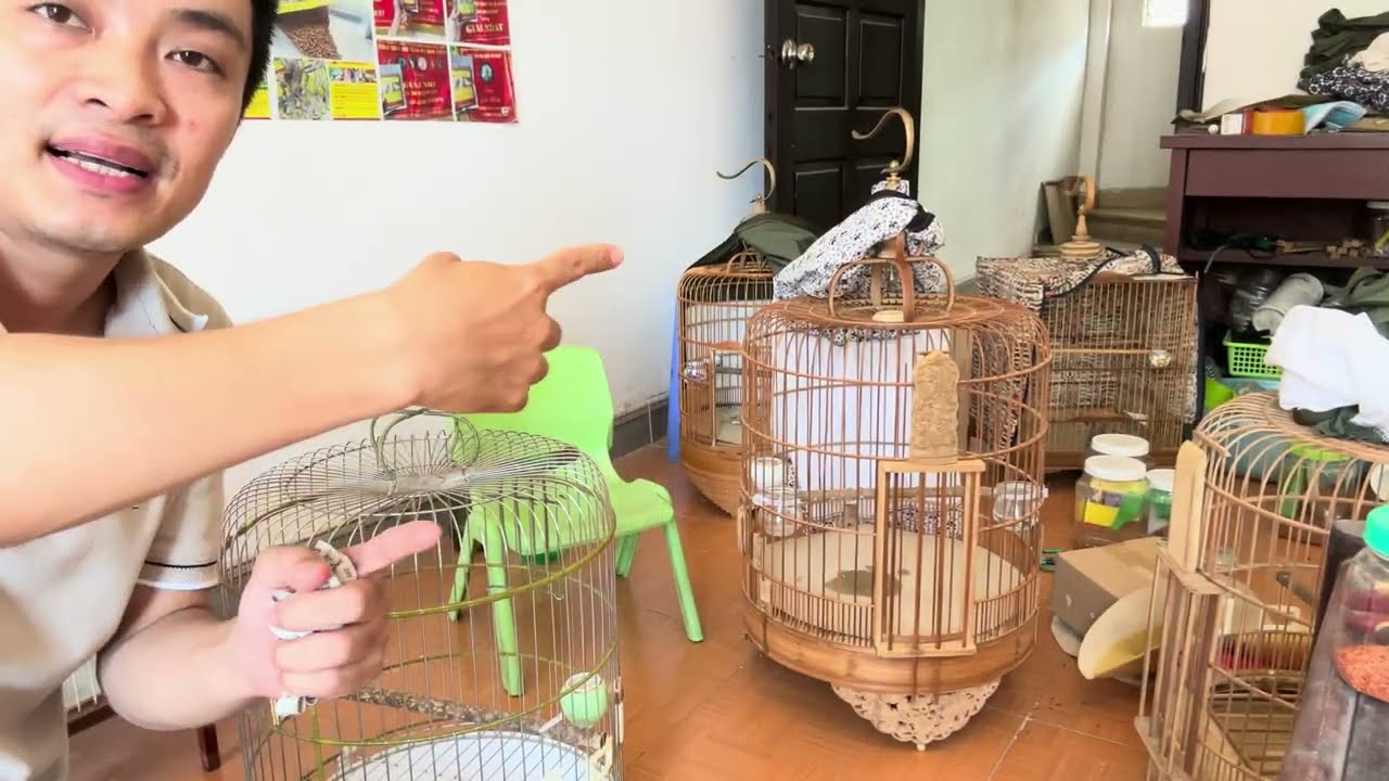 Lồng Khướu dùng size nào hợp lý ???