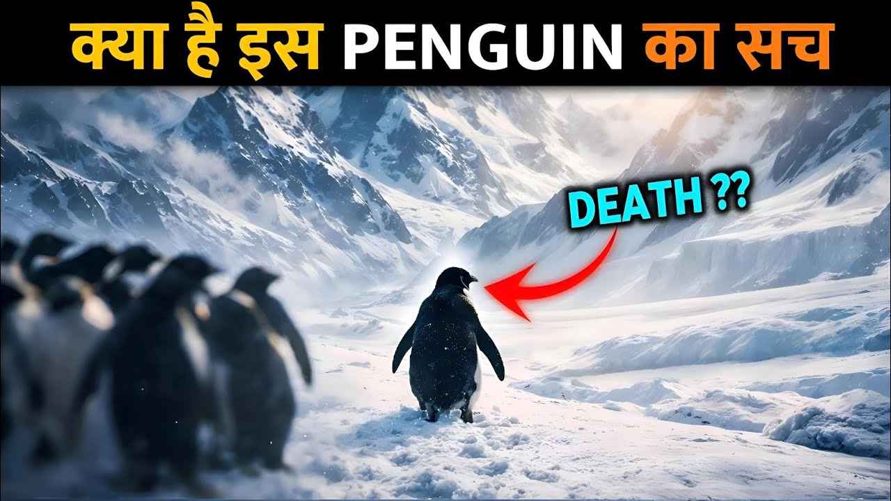 2007 का Viral Penguin Video: क्या ये Suicide था या Survival? | Antarctica Documentary Truth