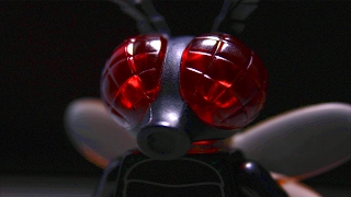 LEGO The Fly