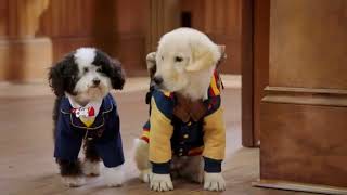 If My Purple Shutterbug Was In Pup Academy I Used One Of Shutterbug Animation