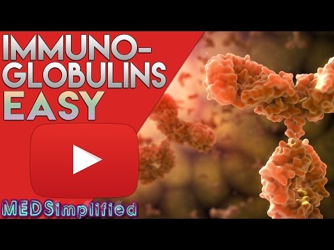 Immunoglobulins Structure and Function /Antibody Structure Types and Function