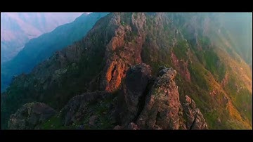 القارئ إبراهيم شامي صلاة العشاء الخميس 22 4 1441 هجرية