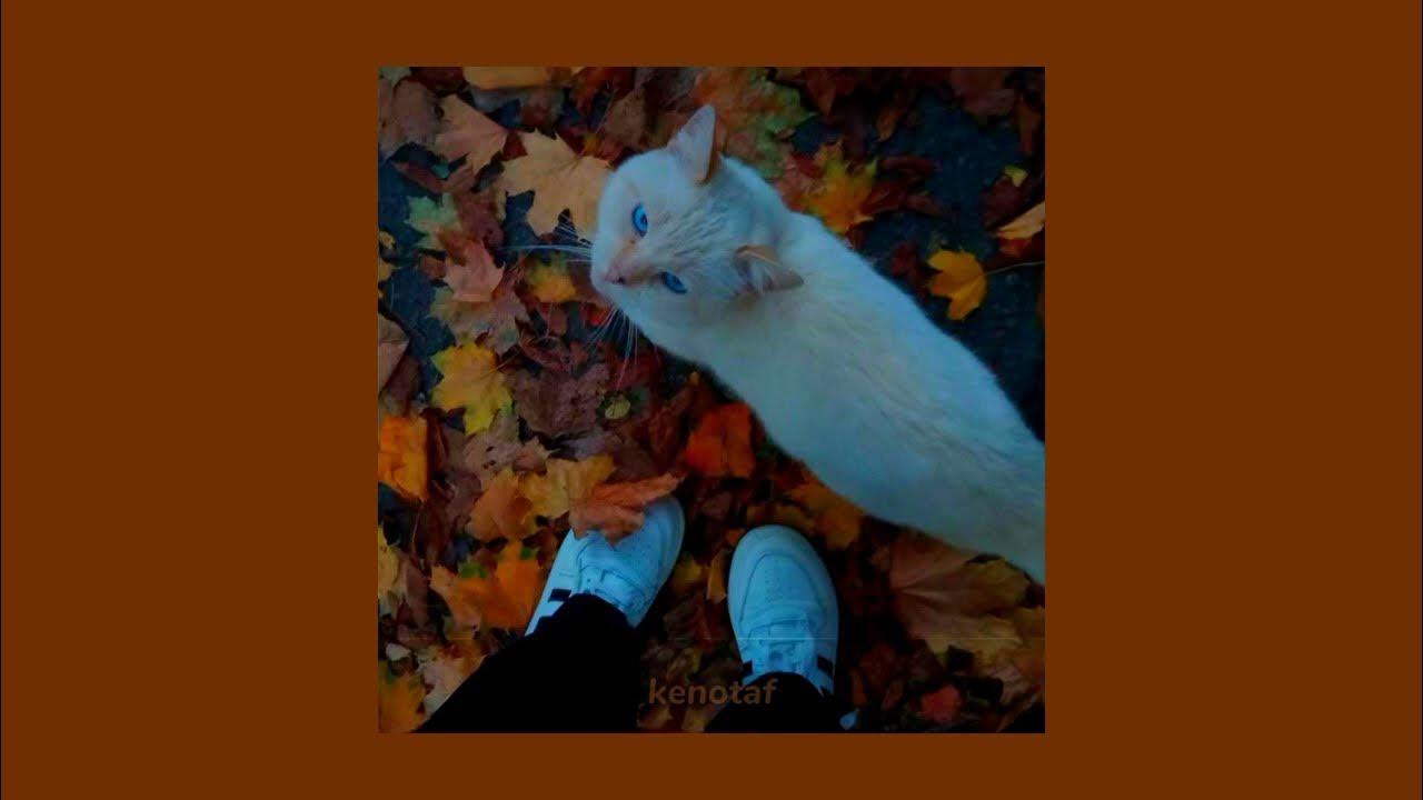 Плащ с котом майнкрафт. Песня осень speed up. Детские стихи про осень. Us autumn day. Текст песни ремикс.