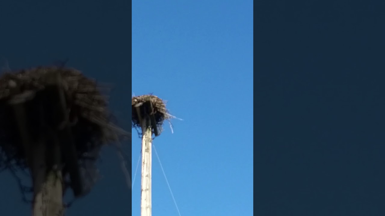 Apartment For Rent Russell Lake Dartmouth at edmundimims blog