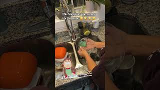 Tiktok chose the sound, it knows me too well #tiktok #dishesinthesink #jobforme #momlifebelike