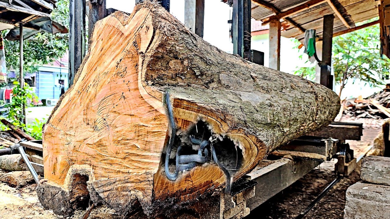 The beautiful charm of jumbo teak wood which is full of beautiful old ...