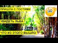 812.Зоопарк в К.Моцкине 5 лет спустя. Израиль