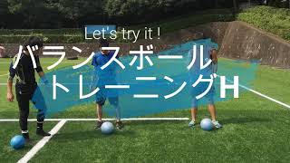 【バランスボール】トレーニングH　exercise ball《tryit.pro》