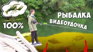 РЫБАЛКА на ВИДЕОУДОЧКУ или 100% ПОДВОДНАЯ СЪЕМКА ПОКЛЁВОК