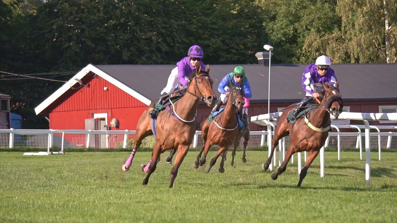 Øvrevoll Galopp løpsdag 21.09.2022. Løp #9 kl. 15:40, 2-ÅRS MAIDENLØP (1170gr)