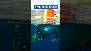 Talking to Ocean Census all about their new biodiversity #data platform. #ocean #marine #wildlife