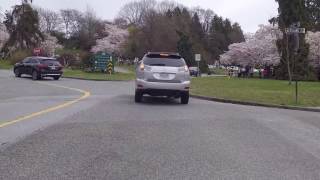 Discover Vancouver BC Canada - Queen Elizabeth Park - Cherry Blossoms - Spring