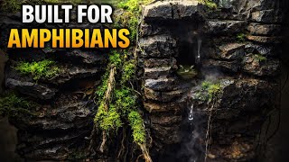 AMAZINGLY REALISTIC PALUDARIUM -- DIY